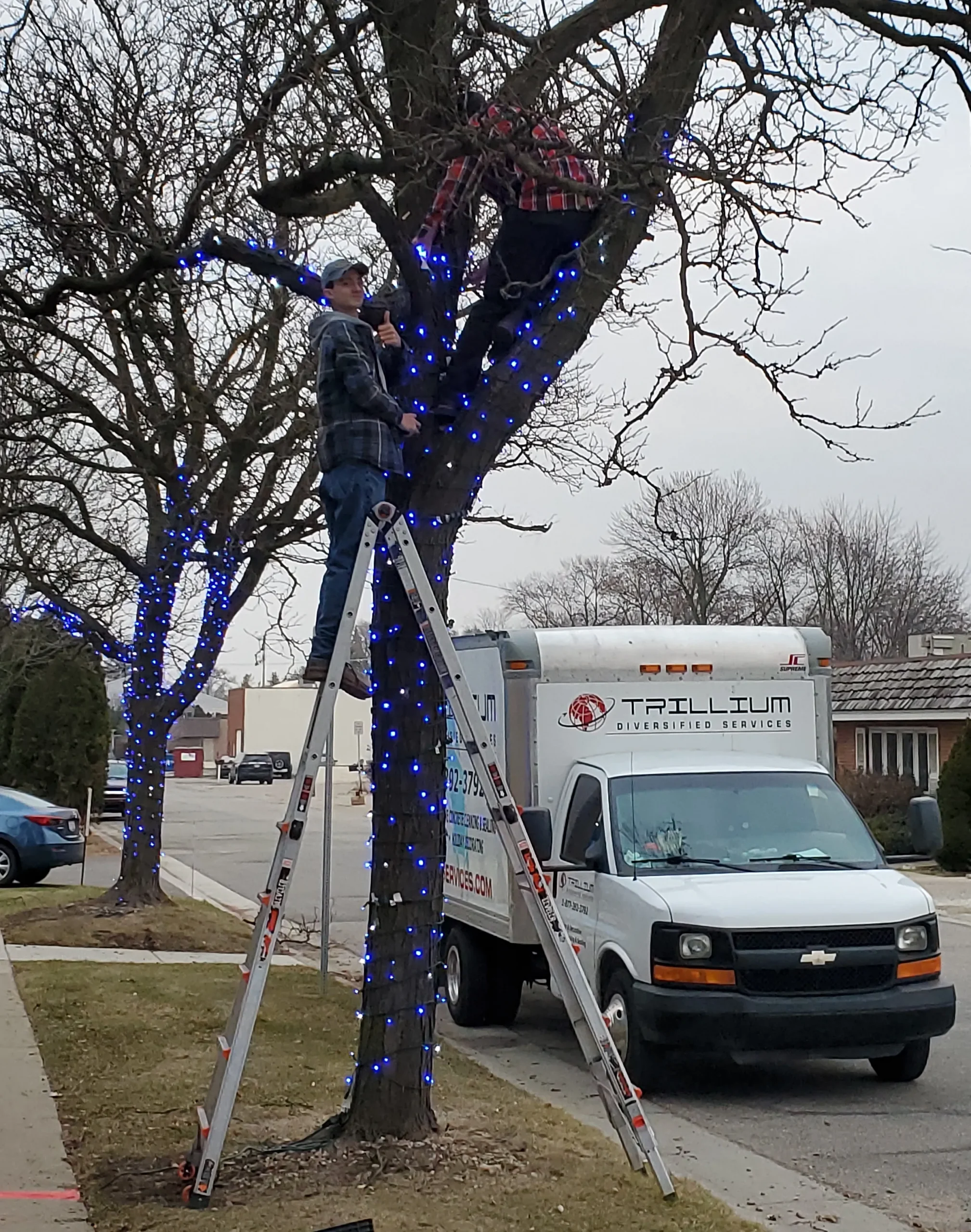 Downtown business Christmas lighting service nearby me