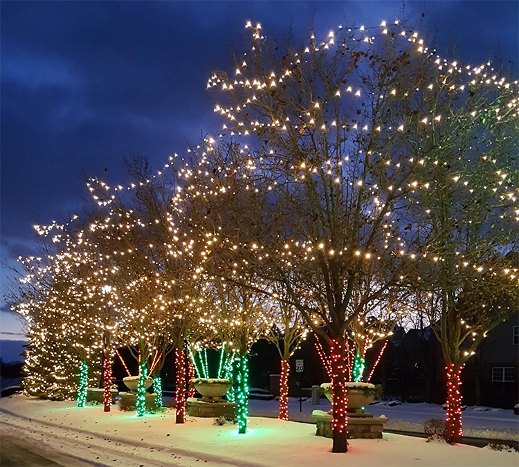 Subdivision Entrance Christmas Lighting Service Company Northville Michigan